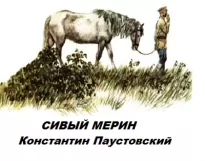Сивый мерин - Константин Паустовский