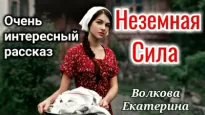 Неземная Сила - Екатерина Волкова